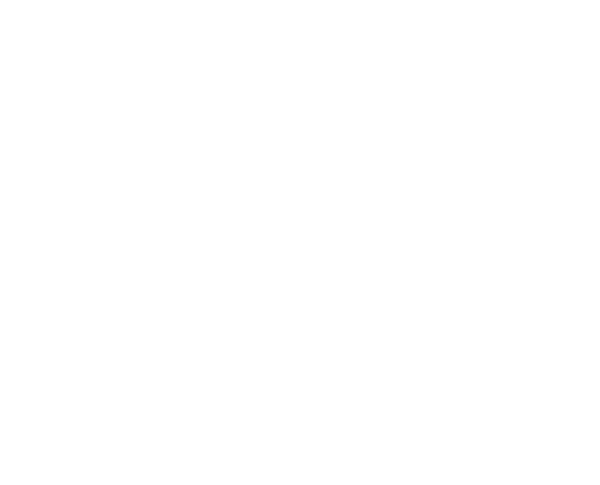 Florida Family Pools