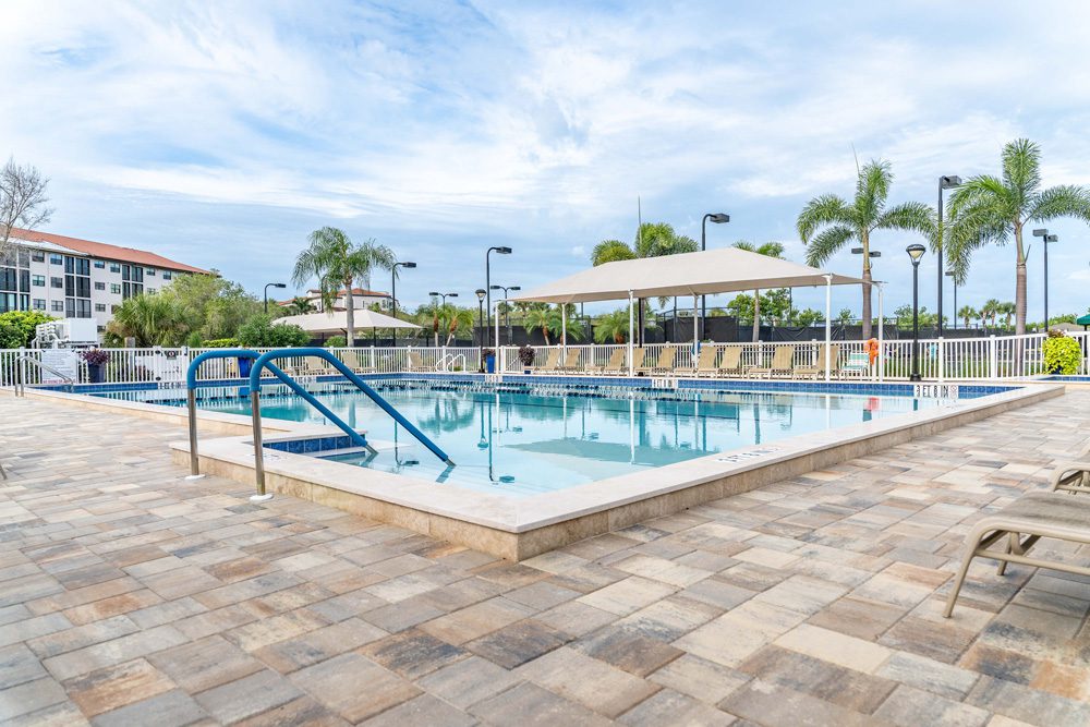 Swimming pool area with paver stones, lounge chairs, and palm trees, showcasing a modern design by Florida Family Pools.